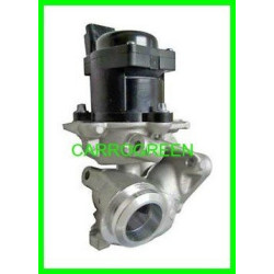 Vanne EGR MINI 1.6L D : Carrogreen