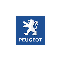 Plaquette de Frein Peugeot 205 : Carrogreen
