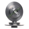 Jeu de 2 Disques de Frein Arriere Peugeot 207 208 307 : Carrogreen