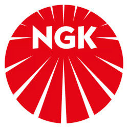 4 Bougies de préchauffage NGK 4966 – 2.2 HDi Peugeot Citroën: Carrogreen