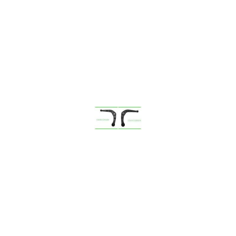 Triangle de Suspension Peugeot 206 Avd et Avg : Carrogreen